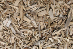 biomass boilers Tynyrwtra