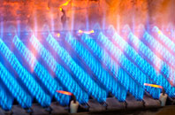 Tynyrwtra gas fired boilers